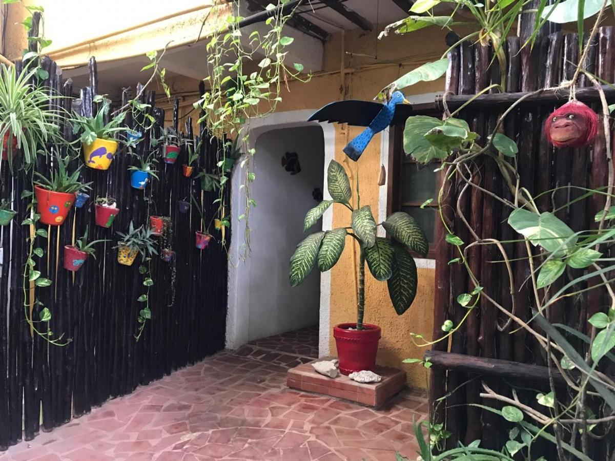 Maison Tulum Esterno foto